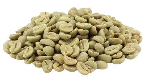 Green Beans Arabica Solok Radjo Full Washed