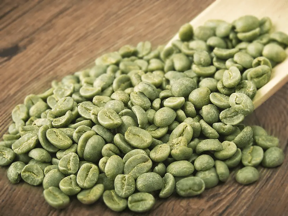 Green Beans Robusta Temanggung