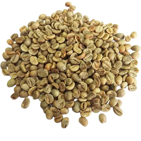 Robusta Sumatera Palembang Green Beans 