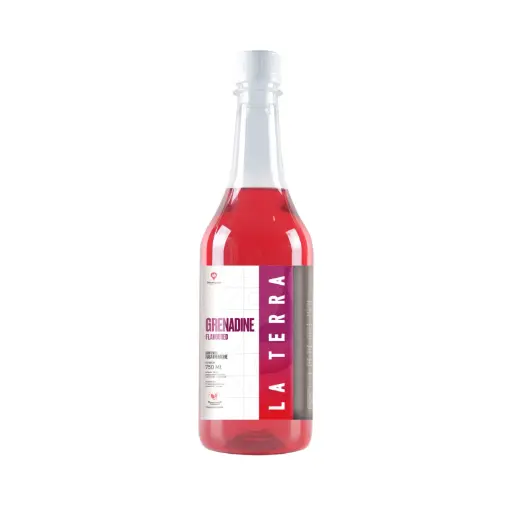 [ABSD040321] Sirup La Terra Grenadine 