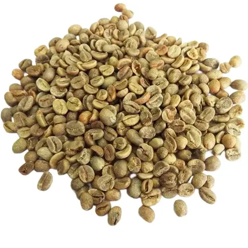 [GBR1000005] Robusta Garut Green Beans 